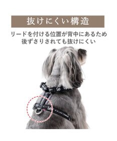 PET PARADISE Lee ロゴアクティブ ハーネス Ｓ
