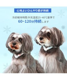 PET PARADISE ペットパラダイス 28℃クールリング SUO 《いちご》 〔３Ｓ〕 小型犬