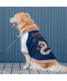 PET PARADISE ペットパラダイス 遠赤外線 スカジャン 《龍》 中型犬 大型犬