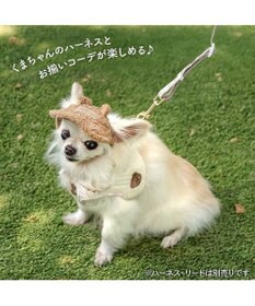 PET PARADISE ペットパラダイス くまちゃん キャップ ４Ｓ～３Ｓ/ＳＳ～Ｓ