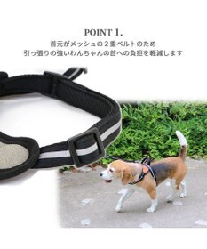 PET PARADISE ヘッドインハーネス  【ＳＭ】 オレンジ / ブルー 【中型犬】