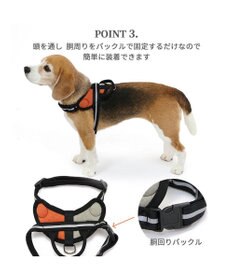 PET PARADISE ヘッドインハーネス  【ＳＭ】 オレンジ / ブルー 【中型犬】