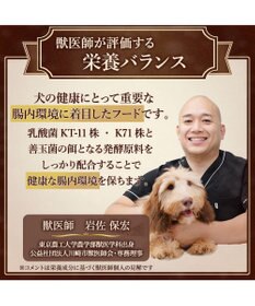 PET PARADISE  ペットパラダイス ドッグフード フローラ3kg 国産