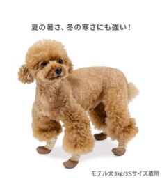 PET PARADISE ペットパラダイス フリル フィット靴 ＳＳ