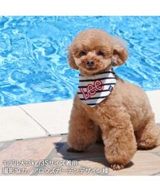 PET PARADISE Ｌｅｅ 冷感バンダナ 《ボーダー》 小型犬