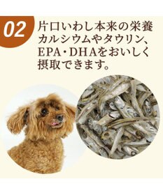 PET PARADISE ペットパラダイス 猫用おやつ 塩無添加 片口いわし 40g