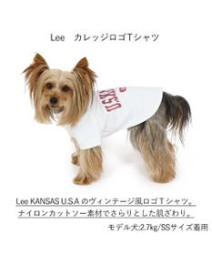 PET PARADISE 犬の服 犬 Ｌｅｅ tシャツ 【小型犬】 カレッジ