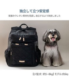 PET PARADISE ペットパラダイス ナチュラル キルティング ハグ＆リュック Ｌ 小型犬