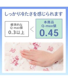 PET PARADISE ディズニー ミニーマウス もちっと クール ブランケット 《ハート柄》