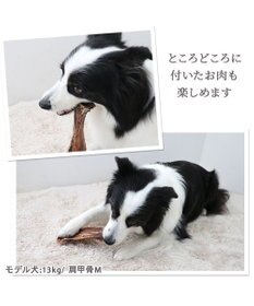 PET PARADISE 鹿 肩甲骨 デンタルおやつ Mサイズ×2本 純国産