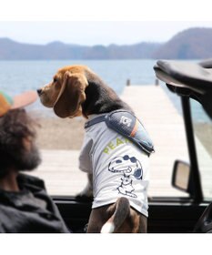 PET PARADISE スヌーピー ジョークール お揃い Ｔシャツ 《イエロー  / ホワイト /  ピンク》 小型犬