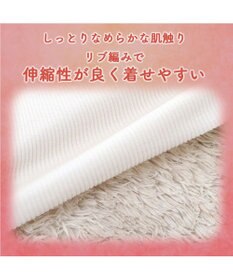 PET PARADISE ペットパラダイス プレミアム ぺティヒート スキッパーＴシャツ 中型犬 大型犬