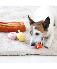 PET PARADISE ディズニー くまのプーさん なかよしボールトイ