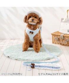 PET PARADISE ディズニー アリス フリルリード ＳＳ～Ｓ