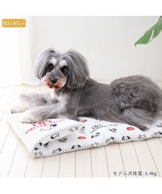 PET PARADISE ディズニー 101匹わんちゃん クールロールマット 小型犬