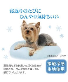 PET PARADISE ペットパラダイス しろくま クールハウス 《アイス柄》