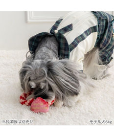 PET PARADISE ディズニー わんわん物語 ハート編み ロープトイ