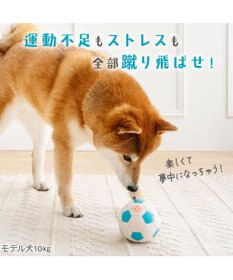 PET PARADISE ペットパラダイス サッカーボール 大