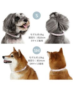PET PARADISE ペットパラダイス 28℃クールリング  《くま》 Ｓ 小型犬