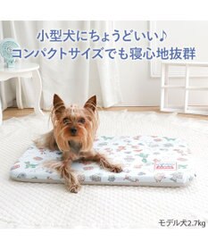 PET PARADISE ディズニー トイ・ストーリー もちっと クール マット Ｓ  《総柄》