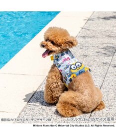 PET PARADISE ミニオン クールベスト 《アイス柄》 小型犬