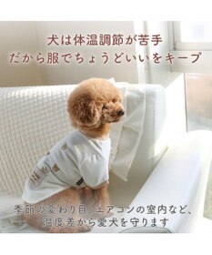 PET PARADISE ペットパラダイス サーモキープ Tシャツ 《チェリー》 中型犬 大型犬