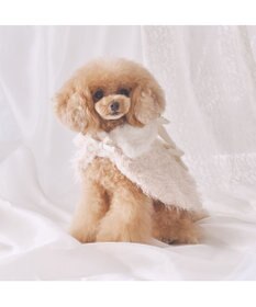 PET PARADISE cherircouture キラキラポンチョ 小型犬