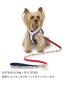 PET PARADISE ディズニー ミッキーマウス プルート 散歩柄 リード 【ＳＳ~Ｓ】 小型犬