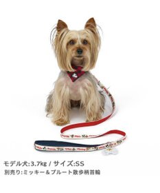 PET PARADISE ディズニー ミッキーマウス プルート 散歩柄 リード 【ＳＳ~Ｓ】 小型犬
