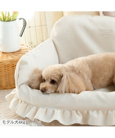 PET PARADISE ペットパラダイス カバー付き ソファー ベッド