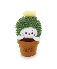 Mother garden しろたん サボテン マスコット 《きんしゃちサボテン》