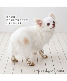 PET PARADISE ペットパラダイス makokoro スリット 靴下  《ボーダー》  ＳＳ 小型犬