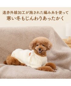 PET PARADISE ペットパラダイス くまちゃん ぬくふわニット 小型犬