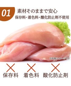 PET PARADISE フリーズドライ 鶏むね肉ほぐし 大袋 55g 国産