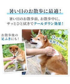 PET PARADISE ペットパラダイス クール  ボディタオル 20枚入り