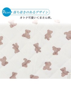 PET PARADISE 犬 クール マット 冷感 柔らか クールマット (48×40cm) 苺 くまちゃん ネイティブ 接触冷感 ひんやり ペット