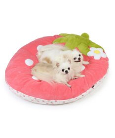 PET PARADISE ネット店限定 ペットパラダイス 春いちご クッション  L