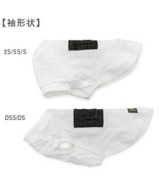 PET PARADISE Lee エンボス ロゴ Ｔシャツ 《ホワイト》 小型犬