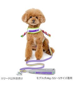 PET PARADISE ディズニー トイ・ストーリー バズ リード ４Ｓ～３Ｓ