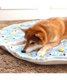PET PARADISE スヌーピー 遠赤外線 丸マット 《コロン柄》 Ｍ