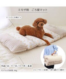 PET PARADISE ペットパラダイス ごろ寝マット 《ミモザ柄》 小型犬