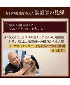 PET PARADISE ペットパラダイス 国産 ドッグフード ビオキッチン 1kg