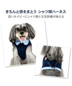 PET PARADISE ペットパラダイス 襟付きベストハーネス ３Ｓ