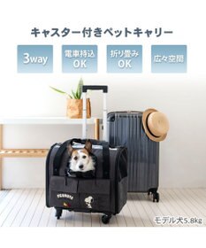 PET PARADISE スヌーピー キャスター付き折り畳みキャリー 小型犬