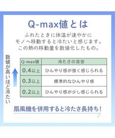 PET PARADISE スヌーピー もちっと クール マット Ｓ 《サーフ柄》