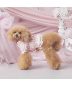 PET PARADISE cherircouture フリルシャツ 《ピンク》 小型犬