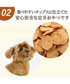PET PARADISE ささみ チップ 100g 大袋 国産