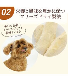 PET PARADISE 鶏ささみフリーズドライ 大袋 55g 国産