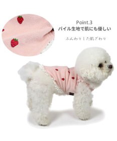 PET PARADISE ペットパラダイス サーモキープ 背中開き タンクトップ  《苺 刺繍》 小型犬