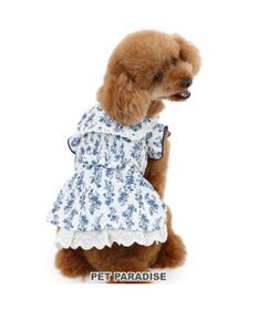PET PARADISE ペットパラダイス 涼やか ワンピース 小型犬